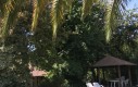 IMG_9752.jpg