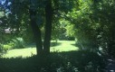 IMG_9753.jpg